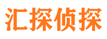 莲都市私家侦探